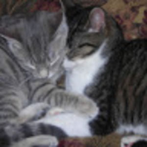 Meet your Posher, Leslie